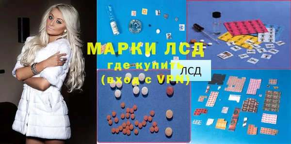 прущие грибы Алексин