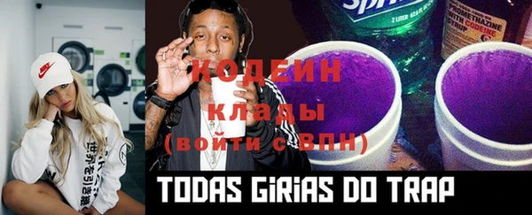 эйфоретик Алзамай