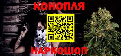 крисы Апшеронск