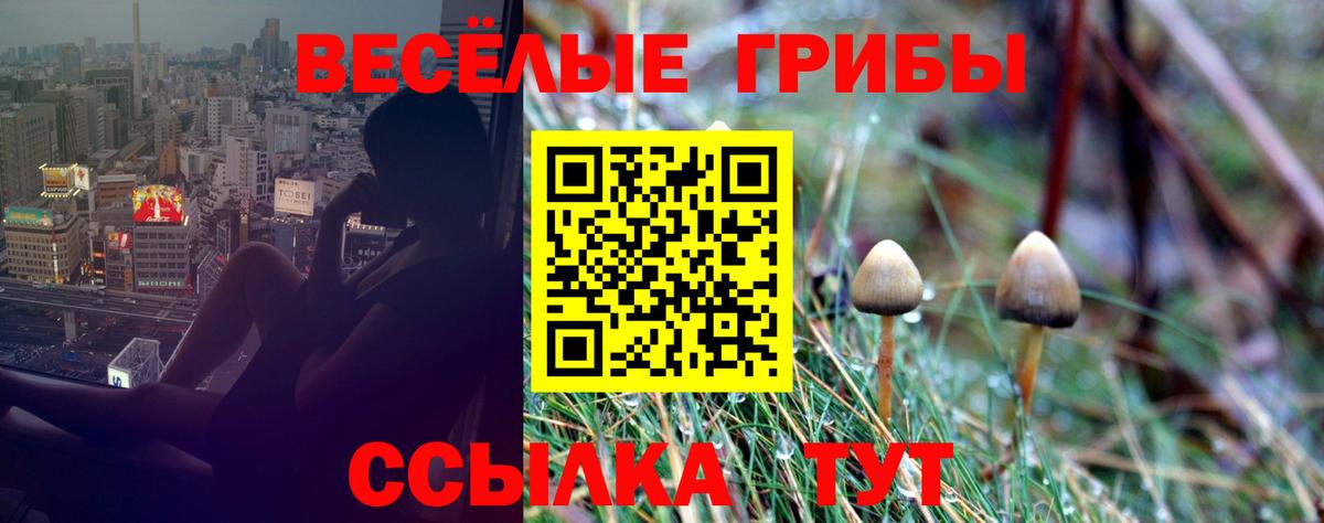 Галлюциногенные грибы Psilocybe  Вход с VPN  Ачинск  Псилоцибиновые грибы мухоморы 
